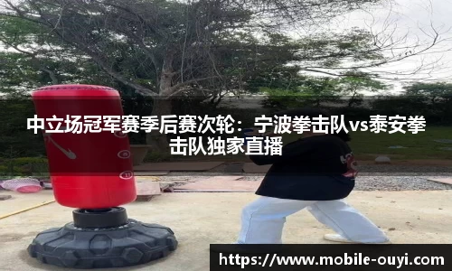 中立场冠军赛季后赛次轮：宁波拳击队vs泰安拳击队独家直播